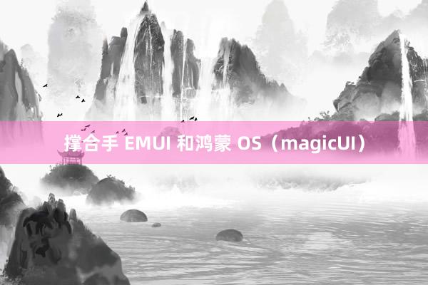 撑合手 EMUI 和鸿蒙 OS（magicUI）