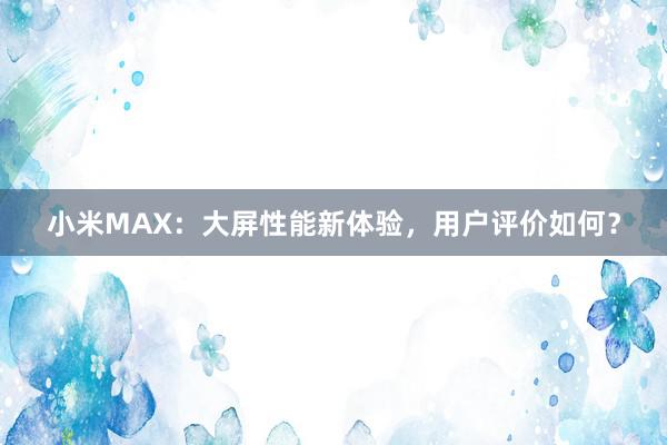 小米MAX：大屏性能新体验，用户评价如何？